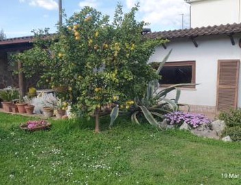 Casetta delle fiabe 2