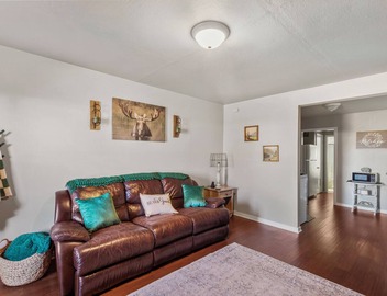 Central Cozy 1-bedroom 15 mins to Palo Duro Canyon & across from West Texas A&M 4