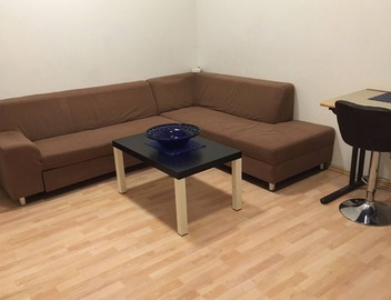 CENTRAL FLAT WITH KITCHEN (13 MIN. TO CITY CENTER) 4
