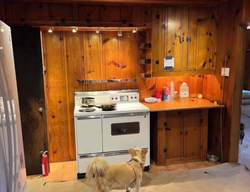 Charming 2 Bedroom House in the Butano Redwood Forest in Pescadero with Wi-Fi 2