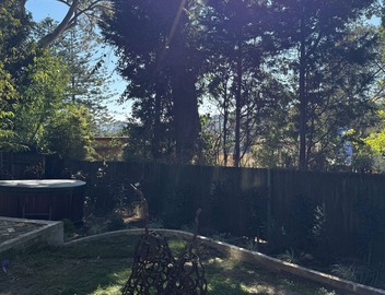 Charming apartment close to everything Sydney has to offer 3