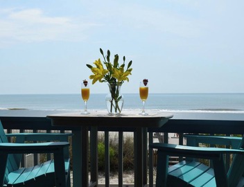 Charming & Cozy 1st Floor Oceanfront and Beachfront Studio-Newly Renovated! 2