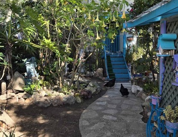 Charming studio with WiFi and AC in delightful Santa Monica 4