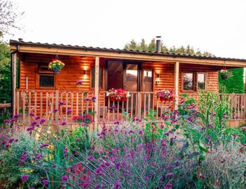 Cherry Tree Glamping 3