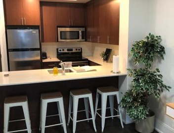 Chic Downtown Toronto Getaway 3