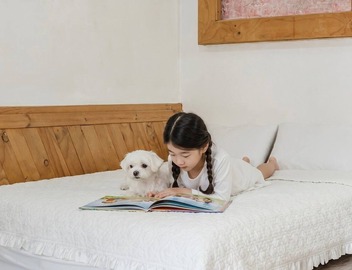 Chuncheon Remember Pet Pension 5