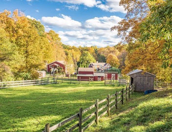 Clean & Bright 2 Bedroom Cottage shares 8 Acres 5
