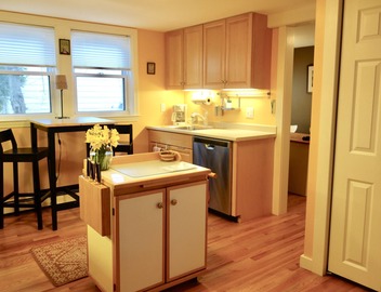 COMFORTABLE AND WELL-APPOINTED, BRIGHT AND SPACIOUS ON THE BOSTON-CAMBRIDGE LINE 4