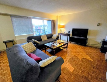Comfy 2 Bed Apt 6 Min Walk To Boston Children's Hospital, Brigham, Dana Farber. 4
