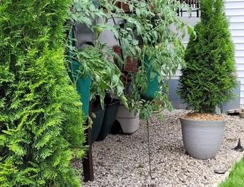 Comfy Garden Suite in Andersonville 4
