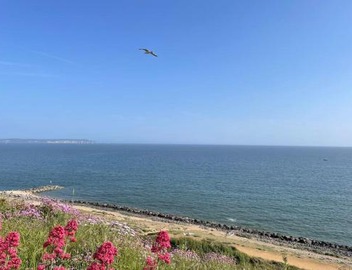 Cosy accommodation, easy walk to beach! 5