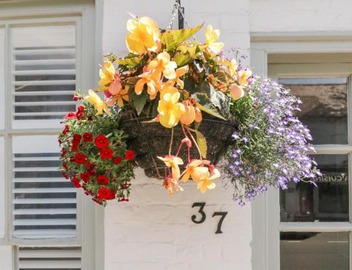 Cuckoo Cottage 4