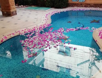 Delightful standalone villa with swimming pool 5