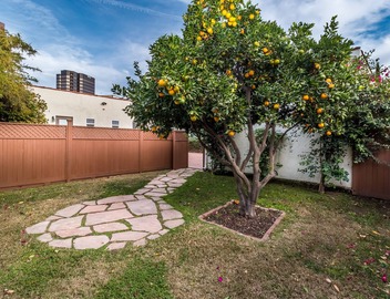 Designer Furnished, Renovated, & Centrally Located Spanish Bungalow! 4