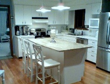 Direct Lakefront, Bantam Lake, Private Deer Island 3
