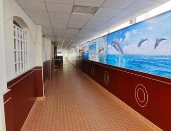 Dolphin Hotel 3