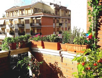 Egle's House 5