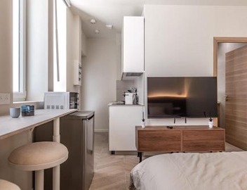 Elegant Renovated Apartment 4