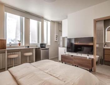 Elegant Renovated Apartment 5
