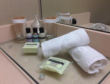 Executive Hotel Vancouver Airport 2