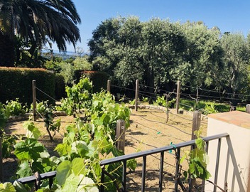 Fiora Della Vita Italian Garden Estate Guest House next to the El Encanto Hotel 4