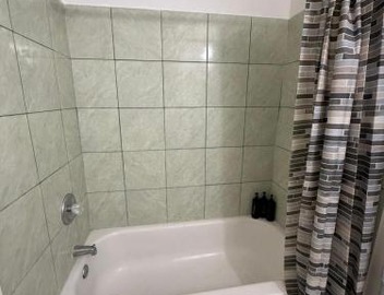 Flowers Apt 5 Min Walk to Downtown - Free Parking 3