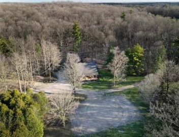 Forest Hideaway 4