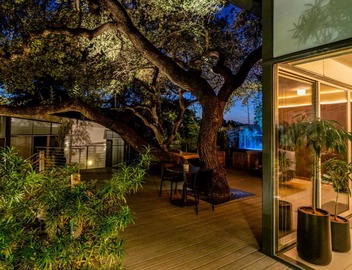 Frame Hotel - Treehouse 4