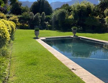 Francolin Studio 4