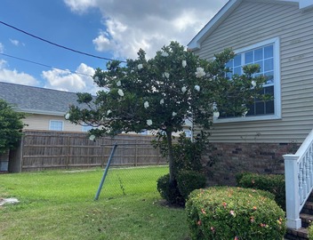 Furnished 2bedroom 1BA house with WiFi and central AC in wonderful New Orleans! 4