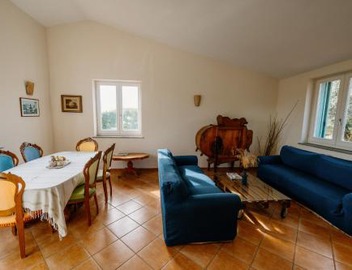 Gli olivi 2