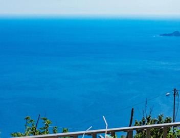 Goat Path in Positano 5