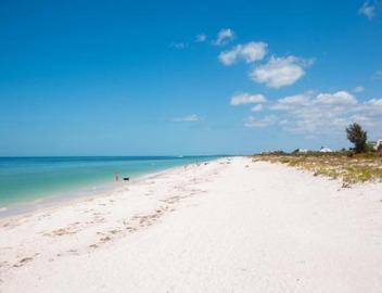 Gone Beaching 202 4