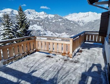 Grand chalet 11 pers, 4 chambres, Sud, proche ski - FR-1-733-72 5