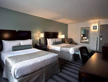 Group Vacation! 4 Comfortable Units, Rooftop Deck 2