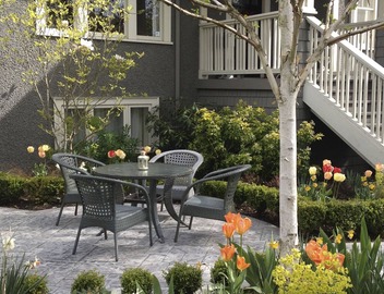 Heritage suite in central Kitsilano close to everything 4