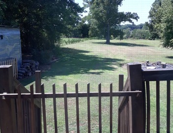 Hickory Tiny House, short and long term rentals 5
