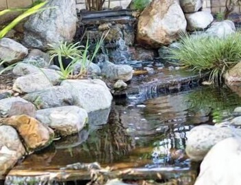 Hidden Paradise｜ BBQ & Fish Pond 5