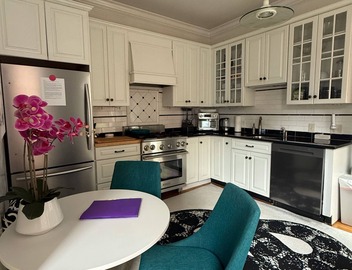 Historic Boston apartment with private garden/patio 4