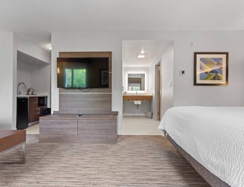Holiday Inn Express & Suites Surrey by IHG 5