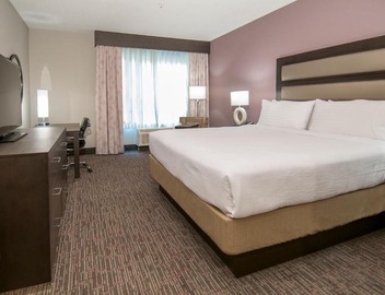 Holiday Inn - New Orleans Airport North by IHG 4