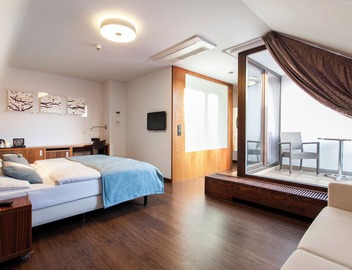 Hotel Carol 4
