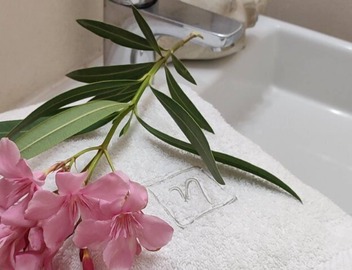 Ilianthos Apartments & Studios 4