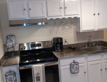 Jazzed Up Condo in the heart of the Magazine St. Garden District! 4