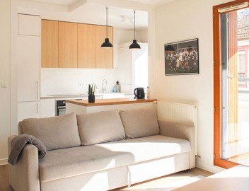 Large apartment with balcony - Stade de France 5