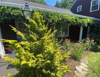 Large, Sunny 4 Bedroom Home Sleeps 8 and 1 minute to Five Fabulous Restaurants 4