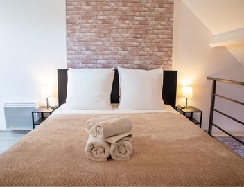 Le Loft proche aéroport CDG I Paris I Astérix 5