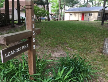 Leaning Pine: A Quiet Lakefront Cottage 5