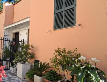 Lemon Garden Home 4