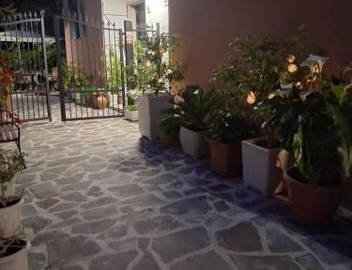Lemon Garden Home 5